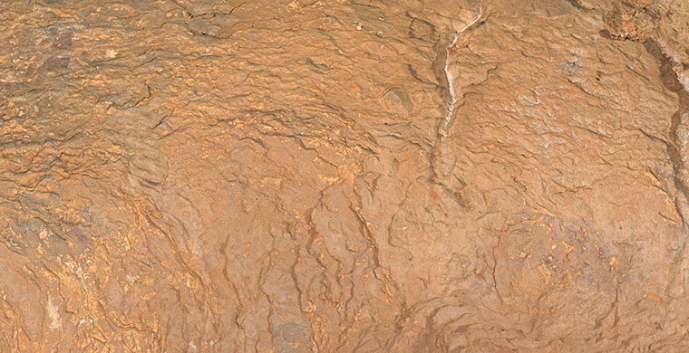 Sector central de la cavidad inferior de Cova Centelles, color real.