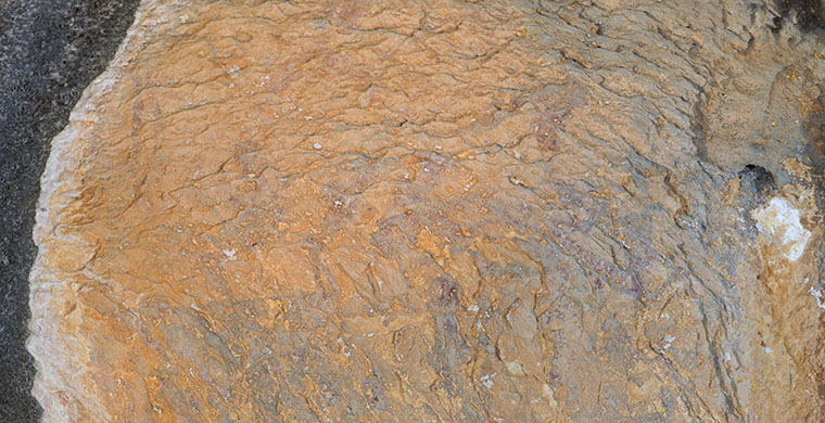 Sector derecho de la cavidad inferior de Cova Centelles, color real.