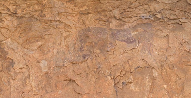 Cingle de la Gassulla IV