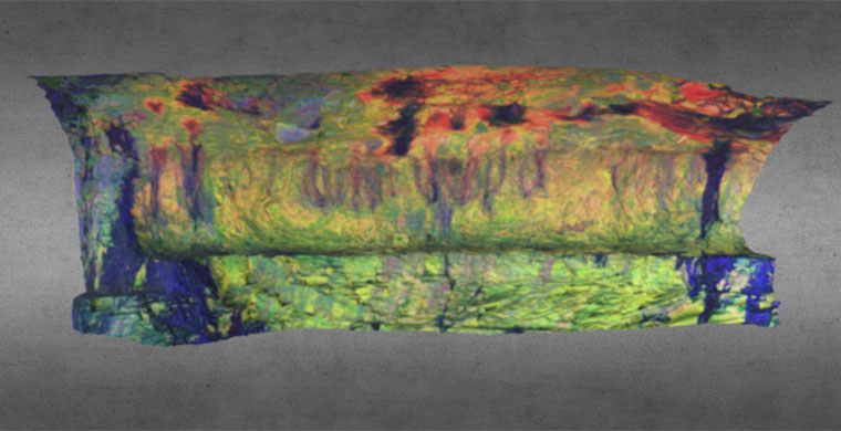 Modelo 3D del abrigo IV del Cingle de la Gasulla, falso color