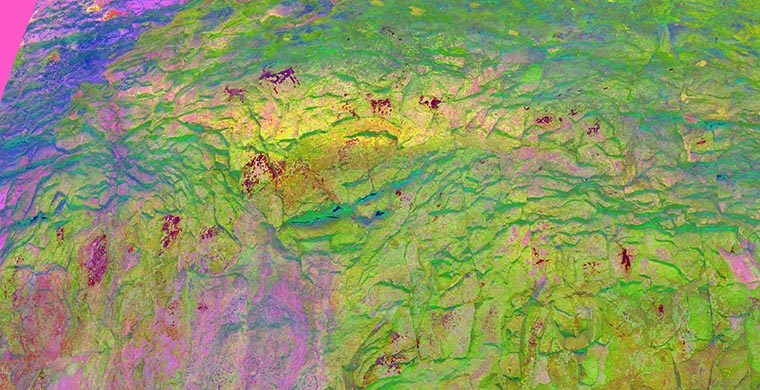 Panel completo del abrigo X del Cingle de Gassulla, falso color