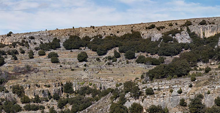 Paisaje del Cingle de Gassulla