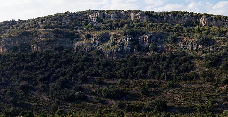 Paisaje en el que se enclava Les Dogues.