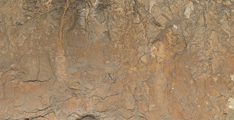 Cova Alta del Lledoner