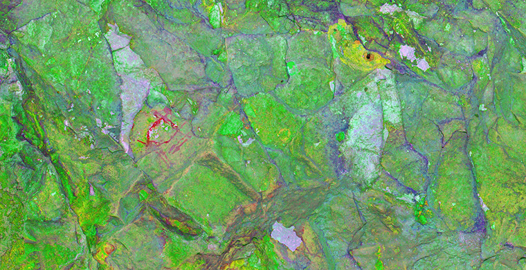 Imagen gigapíxel del sector derecho de Cova Alta del Lledoner, falso color.