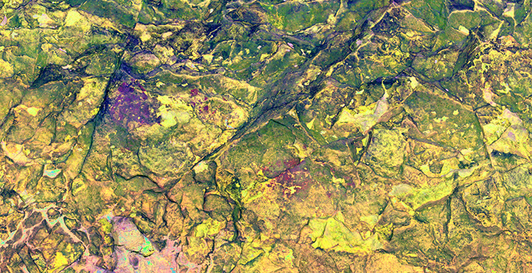 Imagen gigapíxel del sector izquierdo de Cova Alta del Lledoner, falso color.